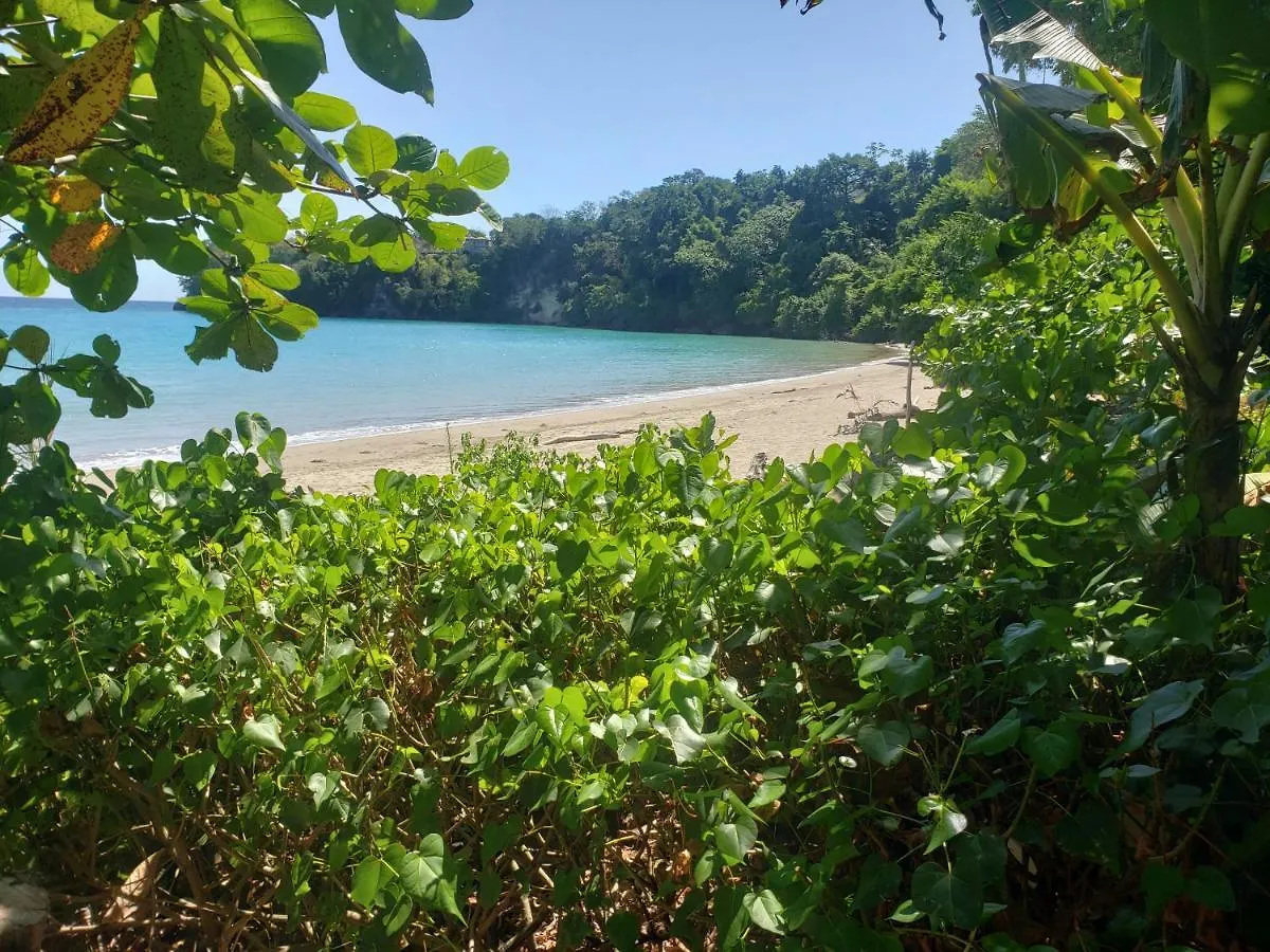 Bed and Breakfast Sea Shell Palms, Ocho Rios