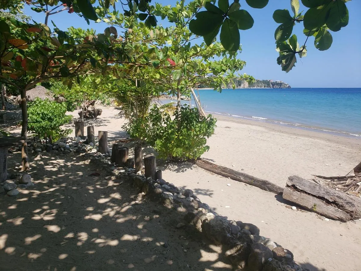 Bed and Breakfast Sea Shell Palms, Ocho Rios 3*,