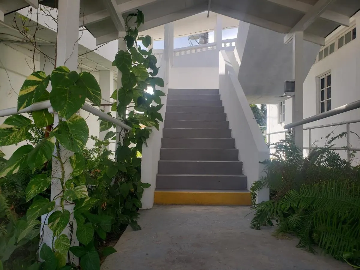Bed and Breakfast Sea Shell Palms, Ocho Rios 3*,  Jamaika