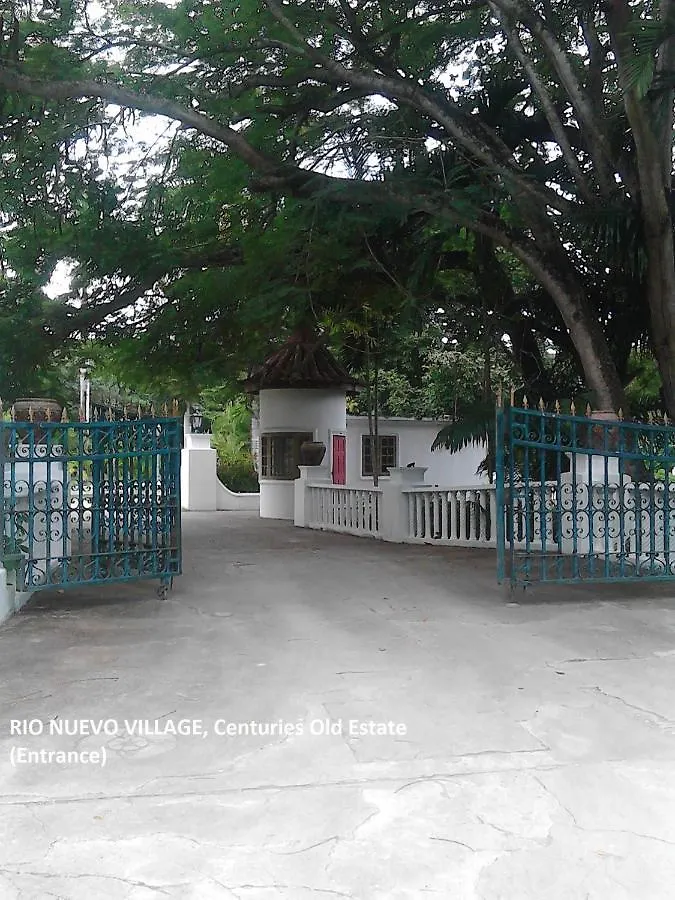 Bed and Breakfast Sea Shell Palms, Ocho Rios