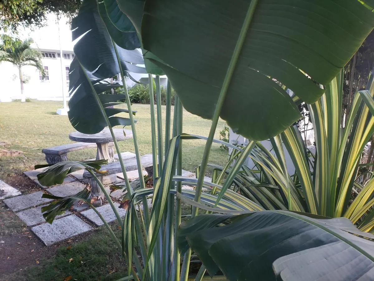 Bed and breakfast Sea Shell Palms, Ocho Ríos 3*,