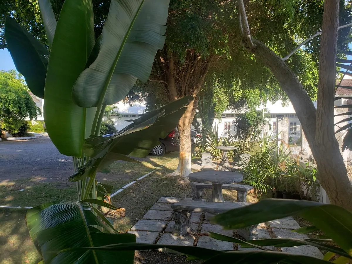 Bed and breakfast Sea Shell Palms, Ocho Ríos Jamaïque